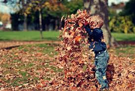child playing in an autumnal setting