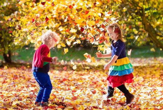 DIY Autumn Nature Crafts for Kids: Outdoor Adventures with Leaves and Acorns