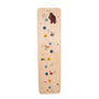 The Gruffalo Wooden Height Chart - FSC® certified by TP Toys—with character illustrations, numbered measurements, colored markers, and hanging string. A perfect keepsake!.