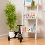The Zoomee Balance Bike to Trike by TP Toys sits on a wooden floor next to a potted plant and a white ladder shelf with toys, books, and decor—perfect for encouraging early child development.