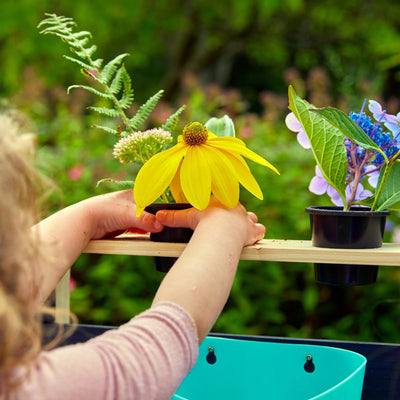 A child arranges small potted flowers, including a yellow coneflower, on the TP Toys TP Little Chef Wooden Mud Kitchen—FSC® certified—outdoors, with green foliage in the background.